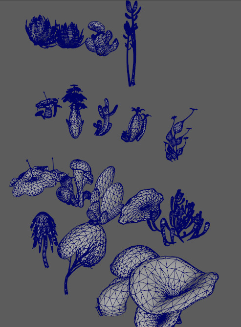 Personalized rare plants on the seabed Low-poly 3D model_4