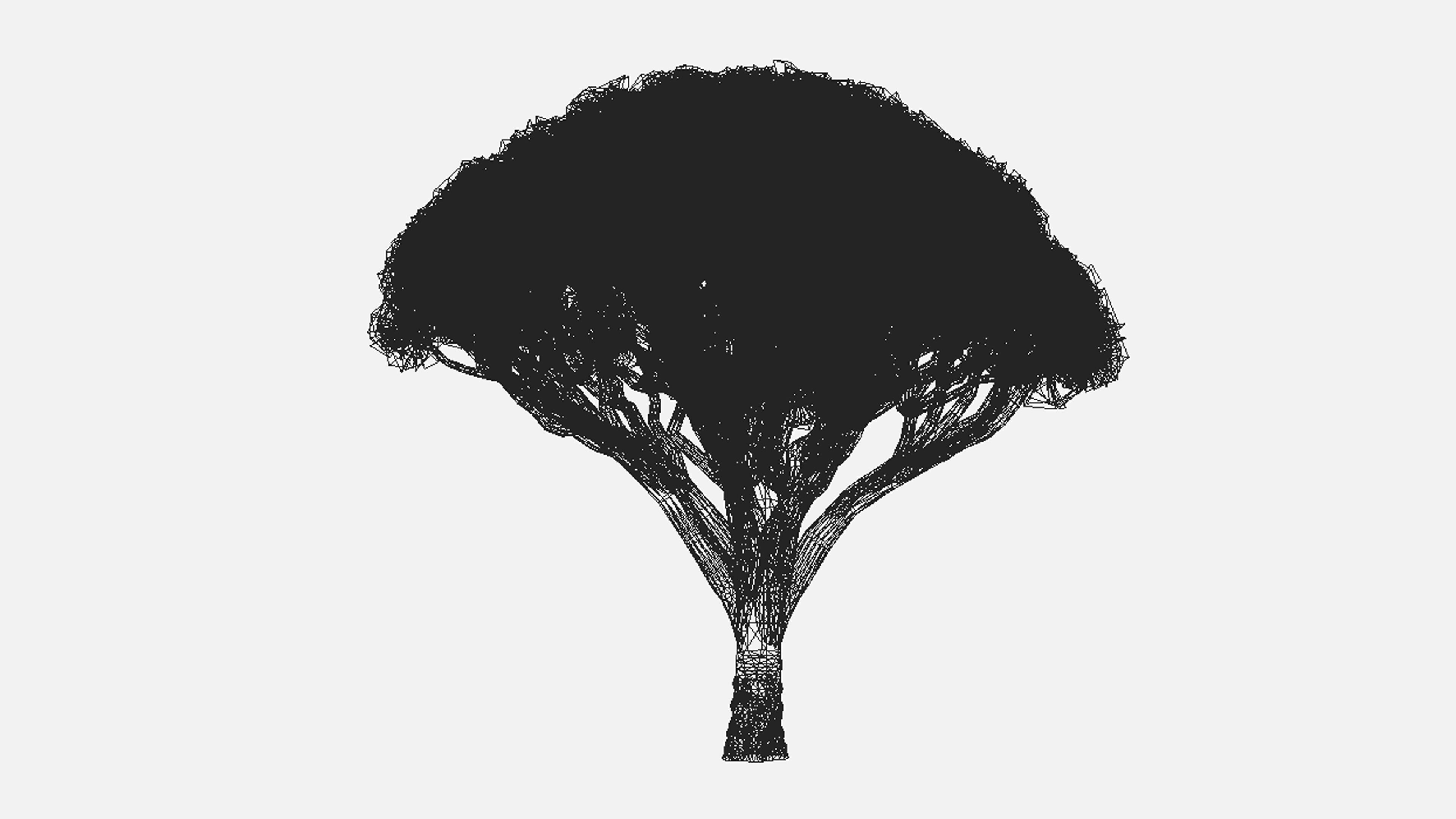 Dracaena Hero- 02 Low-poly 3D model_7