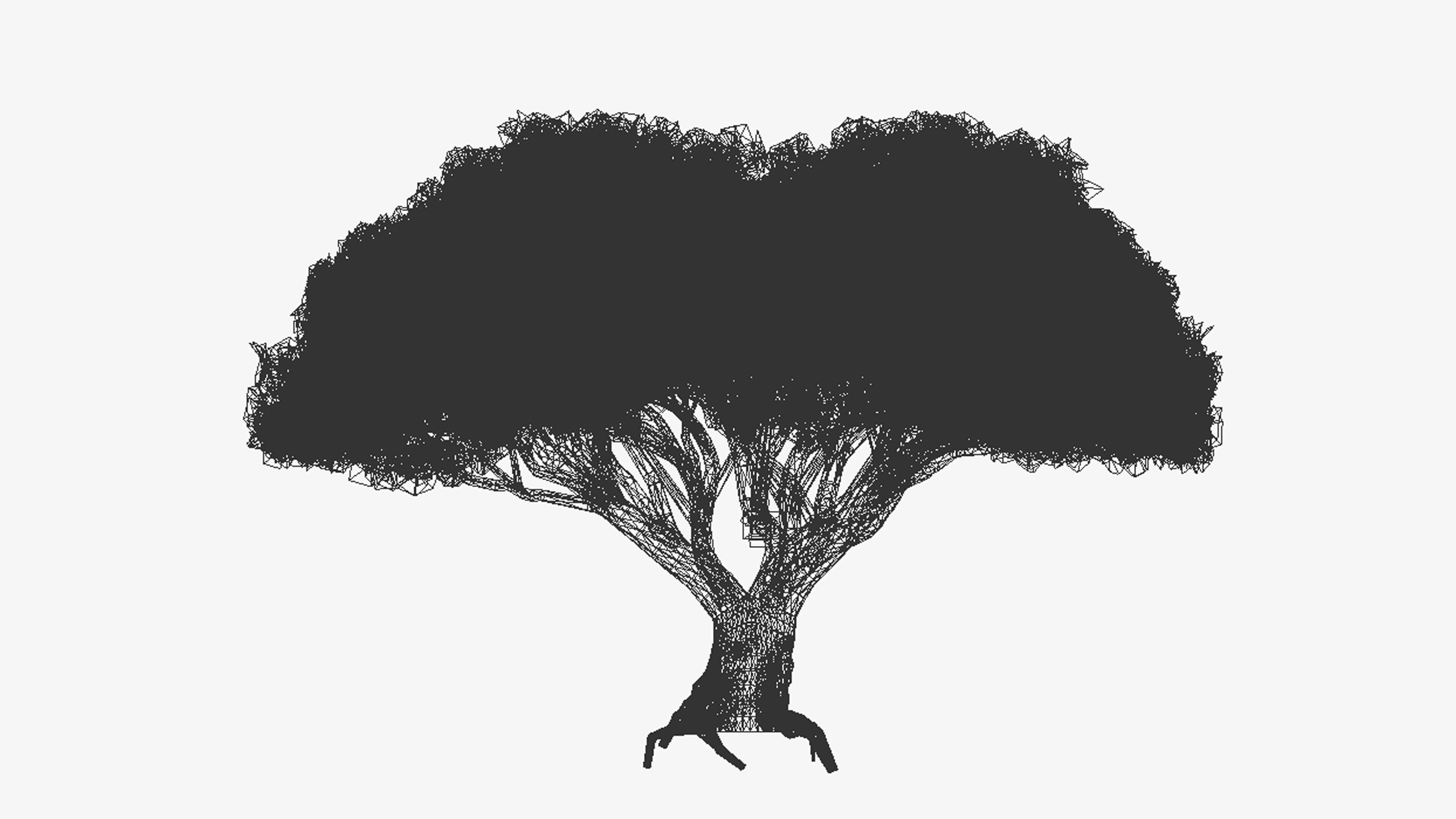 Dracaena Hero- 06 Low-poly 3D model_7