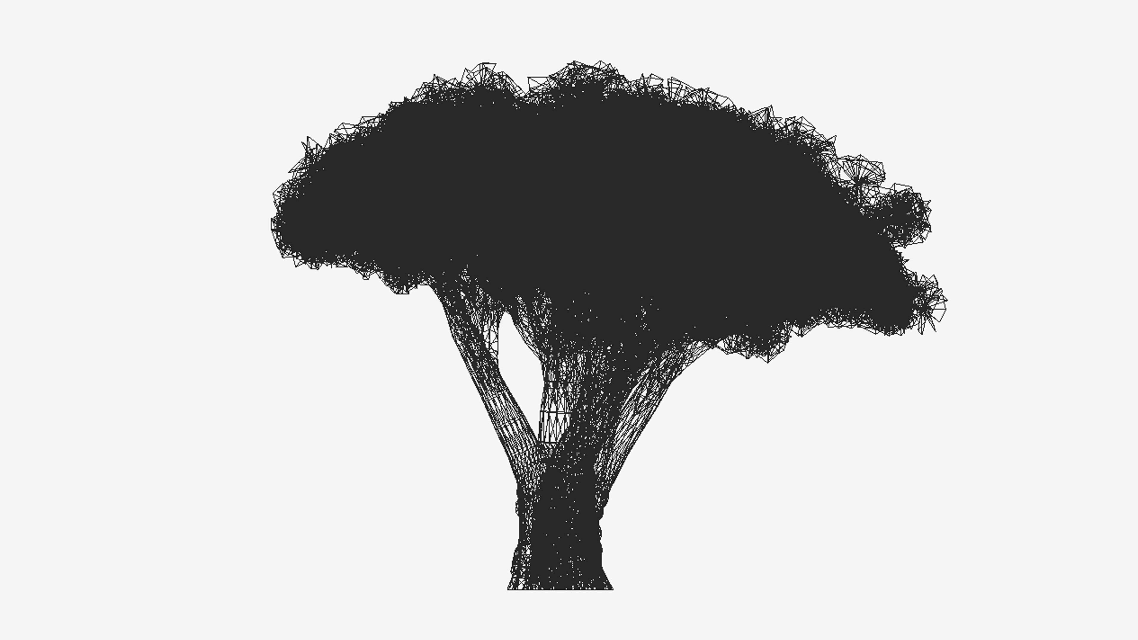 Dracaena Hero- 10 Low-poly 3D model_7