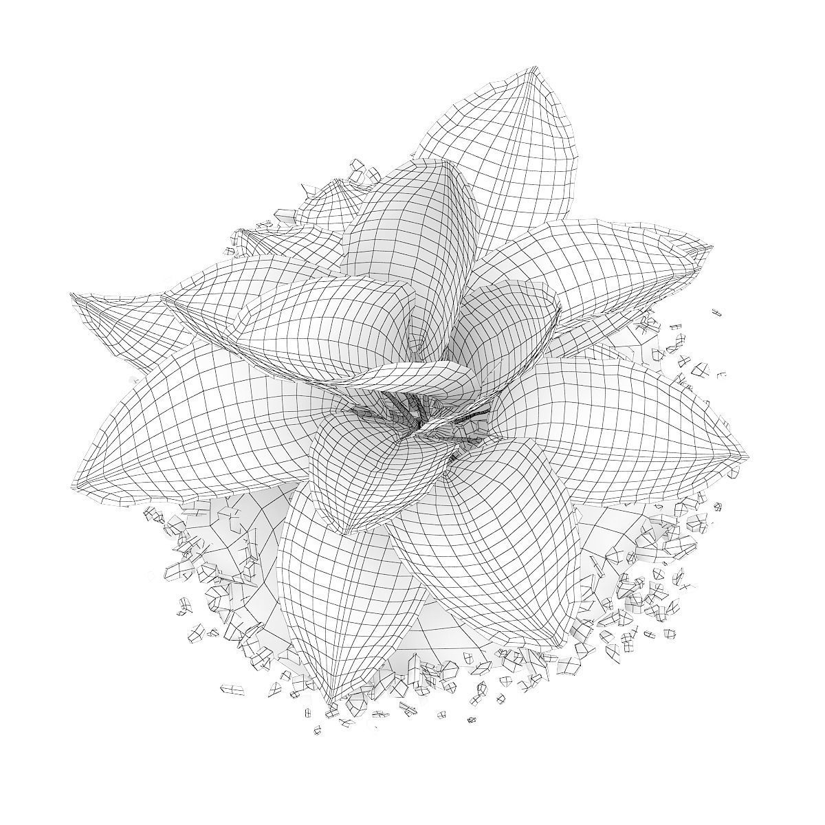 Hosta Plant Hosta kiyosumiensis 3D model_5