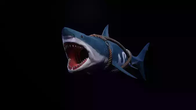 SHARK 3D MODEL Free low-poly 3D model