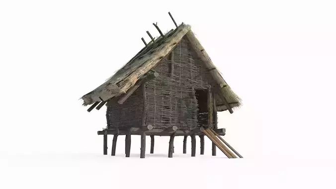 Medieval architecture thatched hut