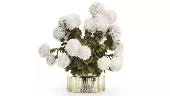 Festive Bouquet Glass Green Vase White Hydrangea 582