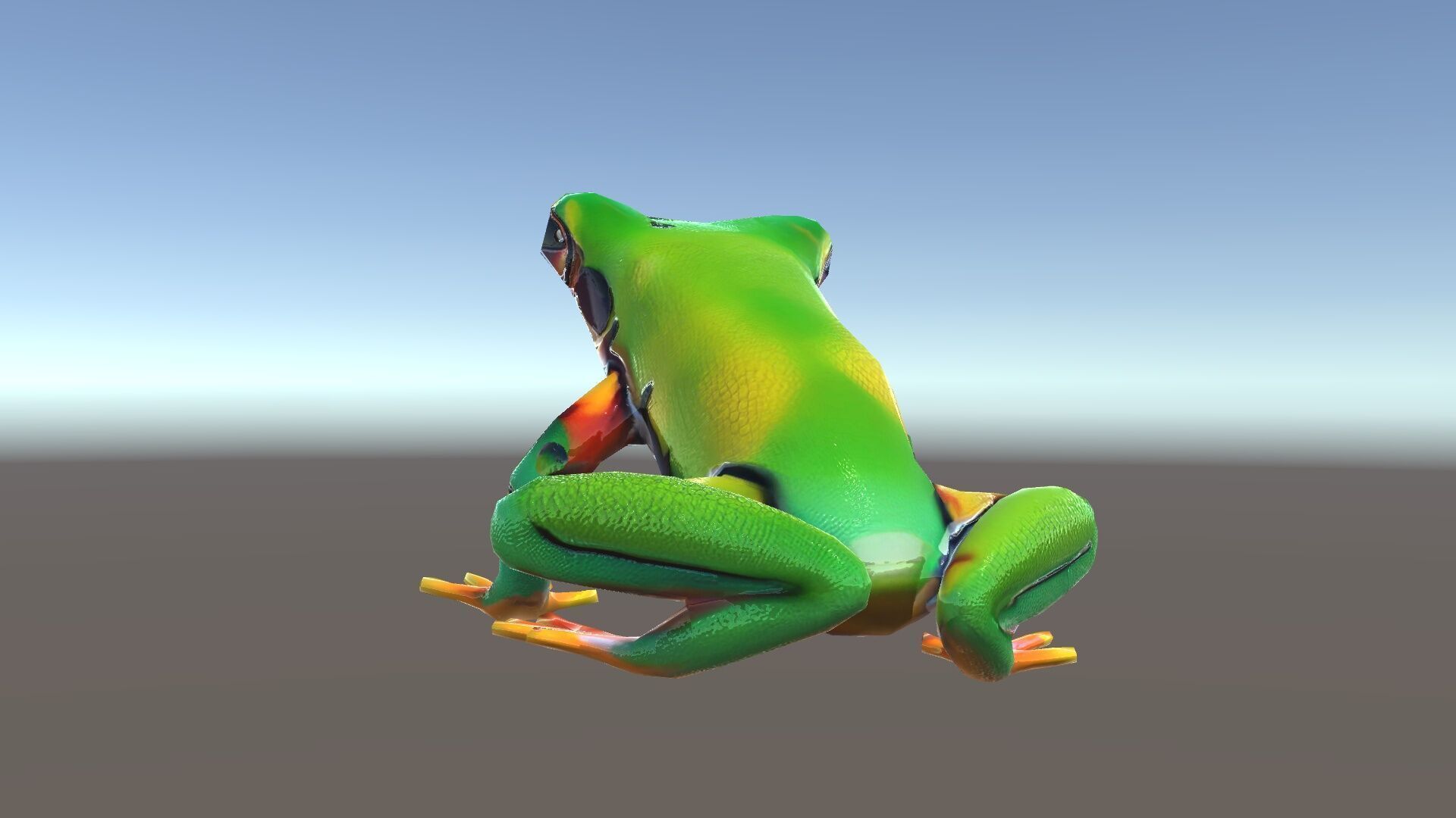 Colorful Frog D Model Pack Low-poly 3D model_7