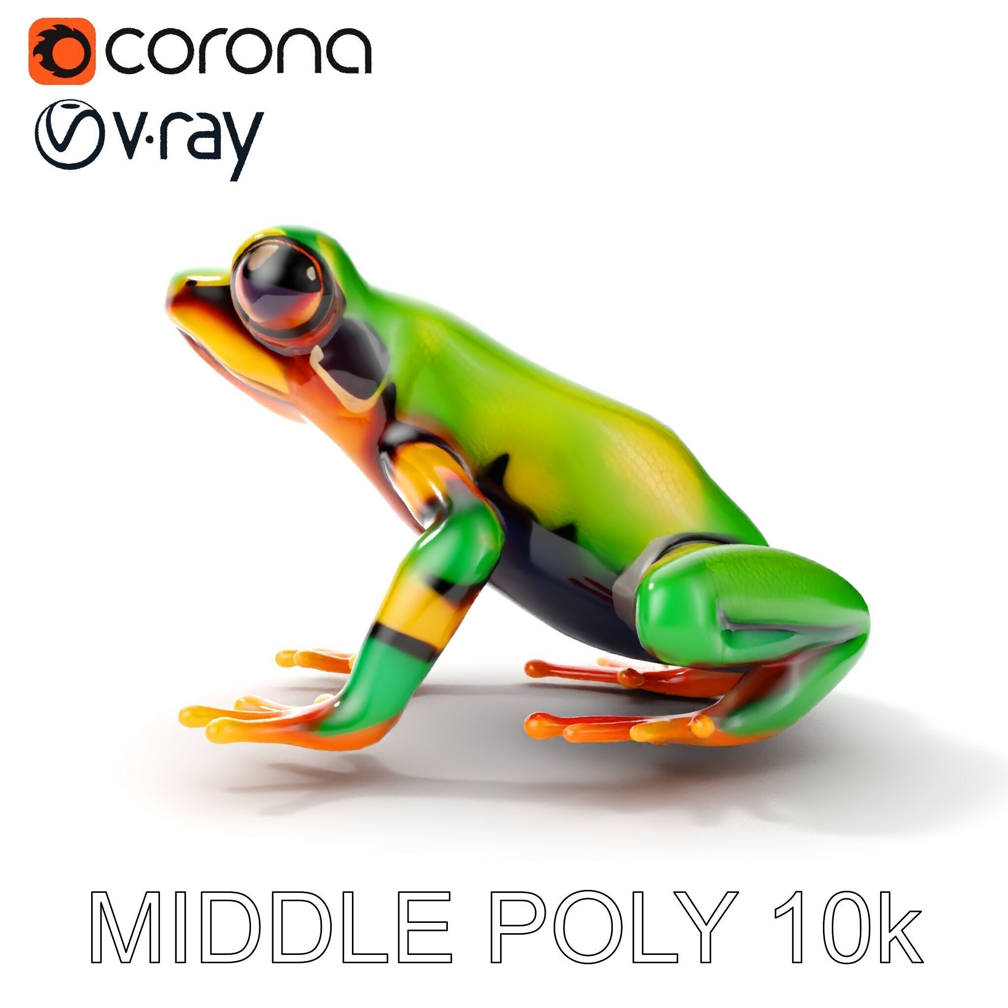 Colorful Frog D Model Pack Low-poly 3D model_17