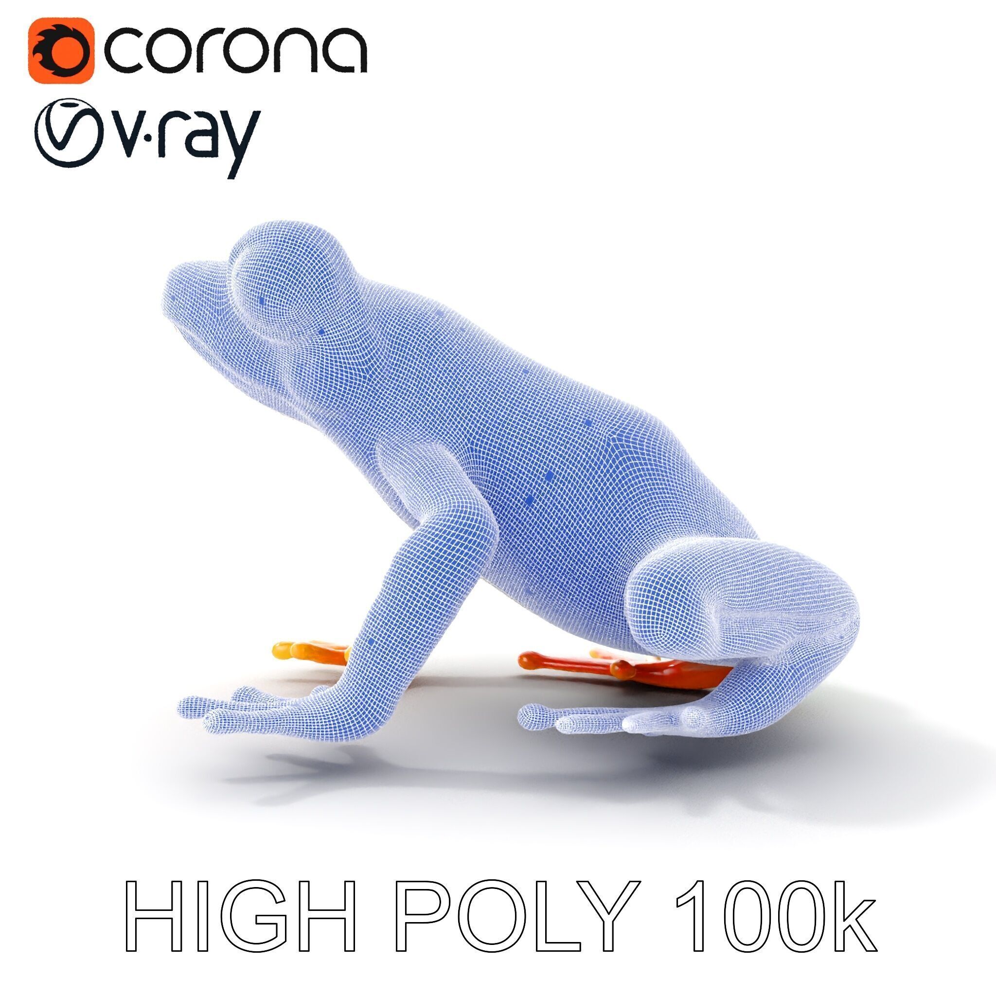 Colorful Frog D Model Pack Low-poly 3D model_25