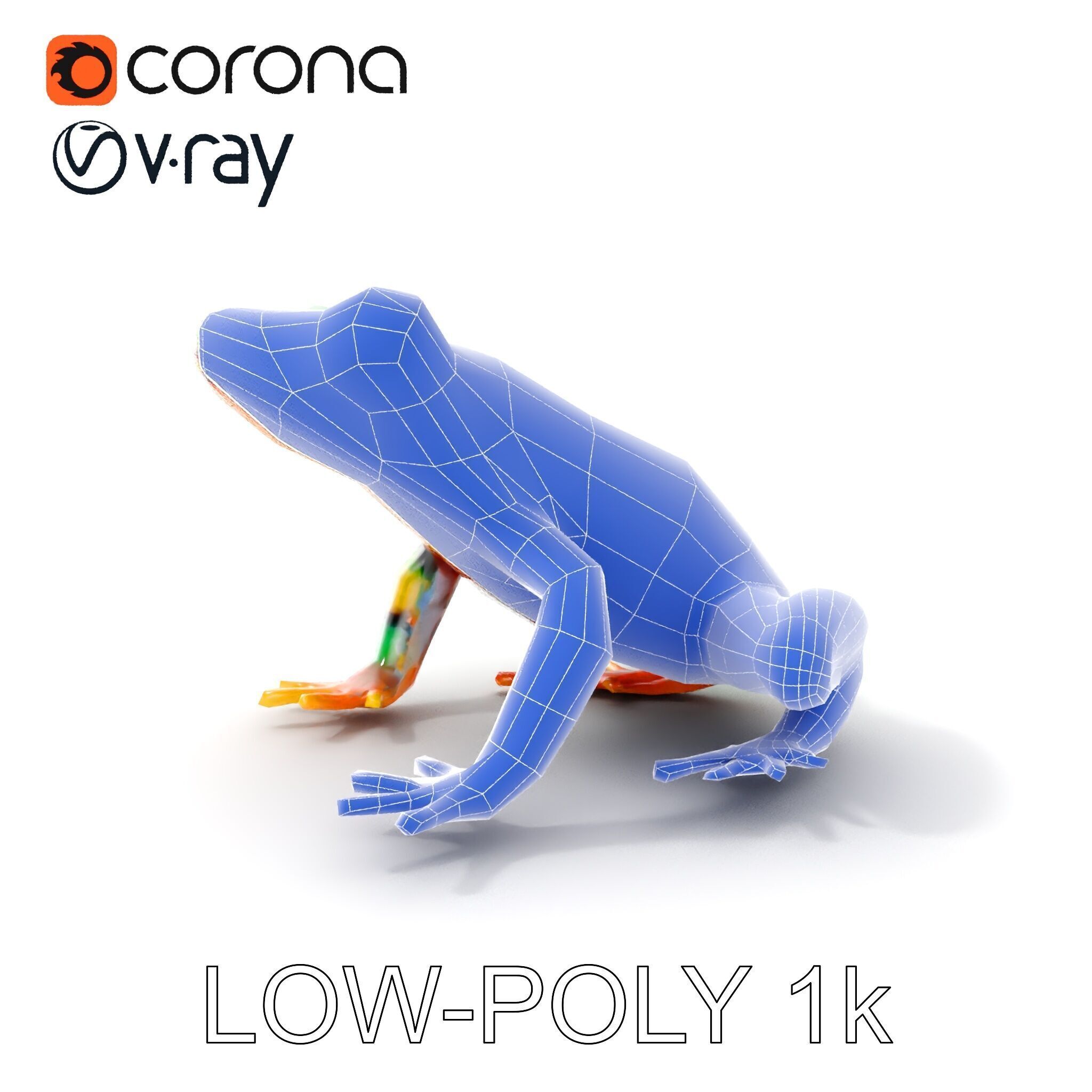 Colorful Frog D Model Pack Low-poly 3D model_33