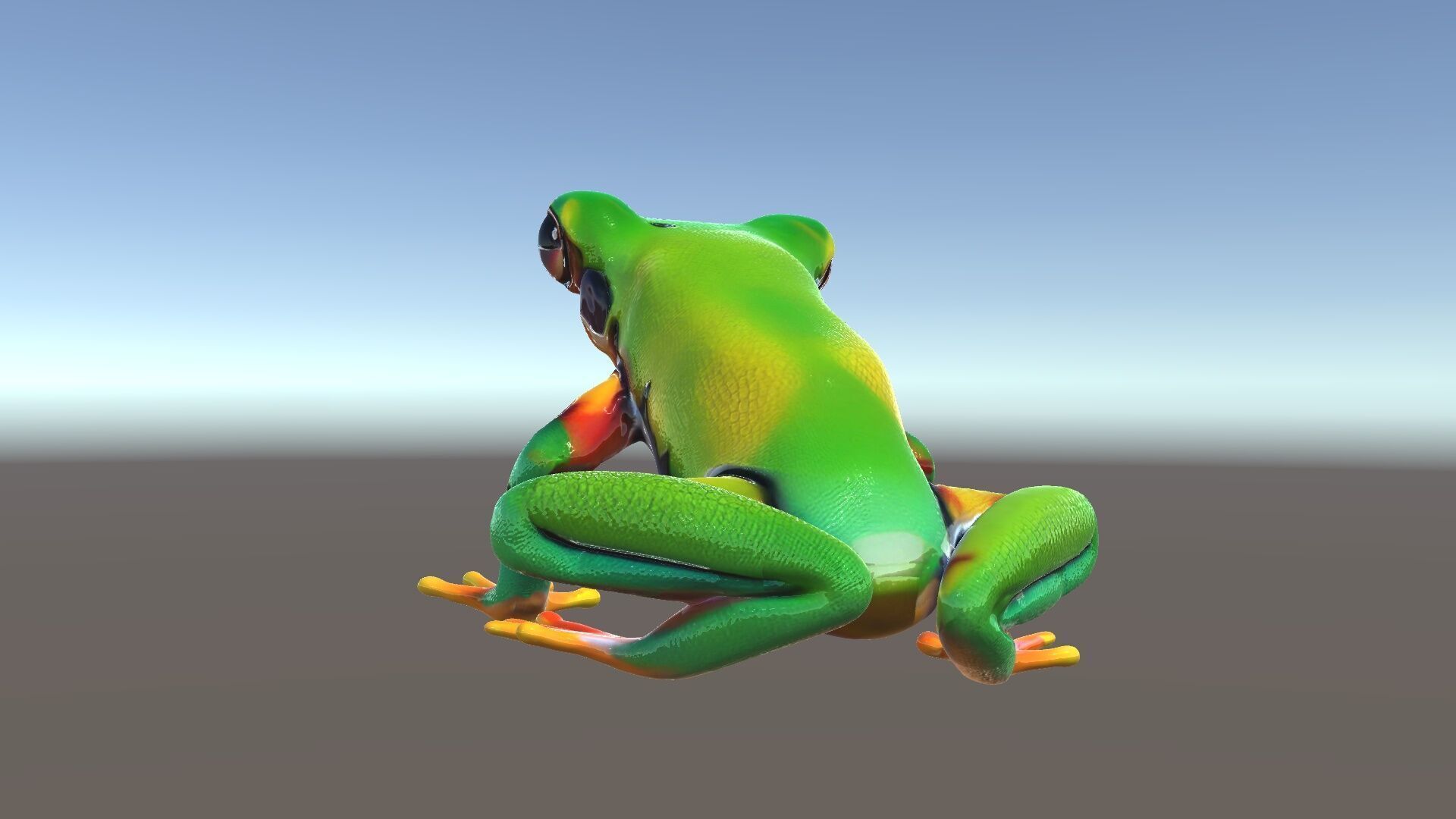 Colorful Frog D Model Pack Low-poly 3D model_5