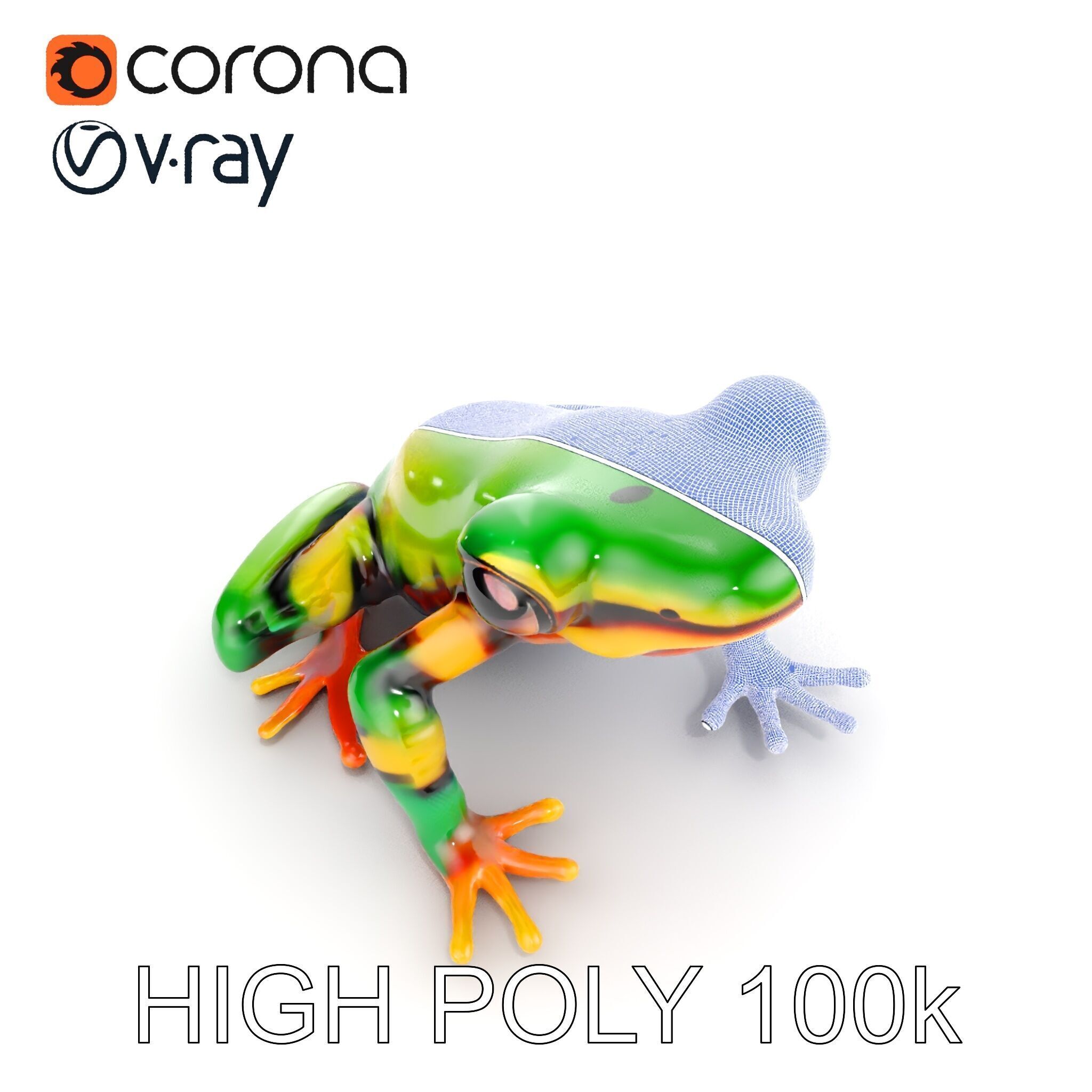 Colorful Frog D Model Pack Low-poly 3D model_31