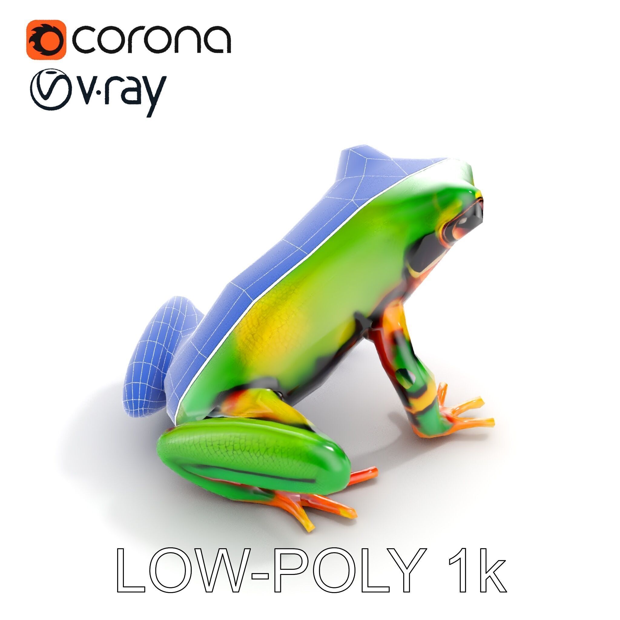 Colorful Frog D Model Pack Low-poly 3D model_22
