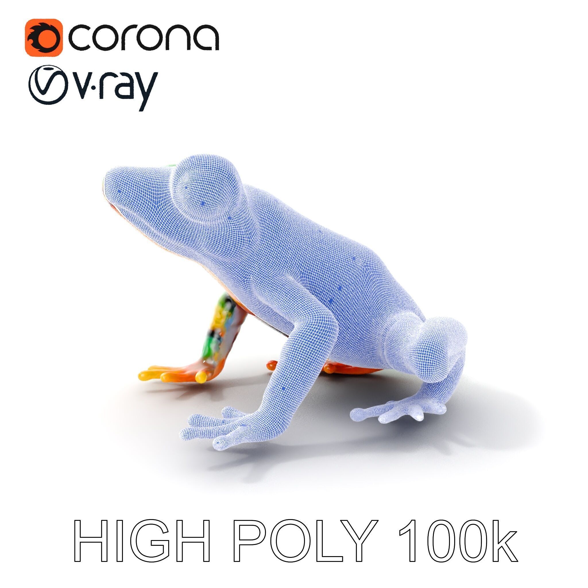 Colorful Frog D Model Pack Low-poly 3D model_4