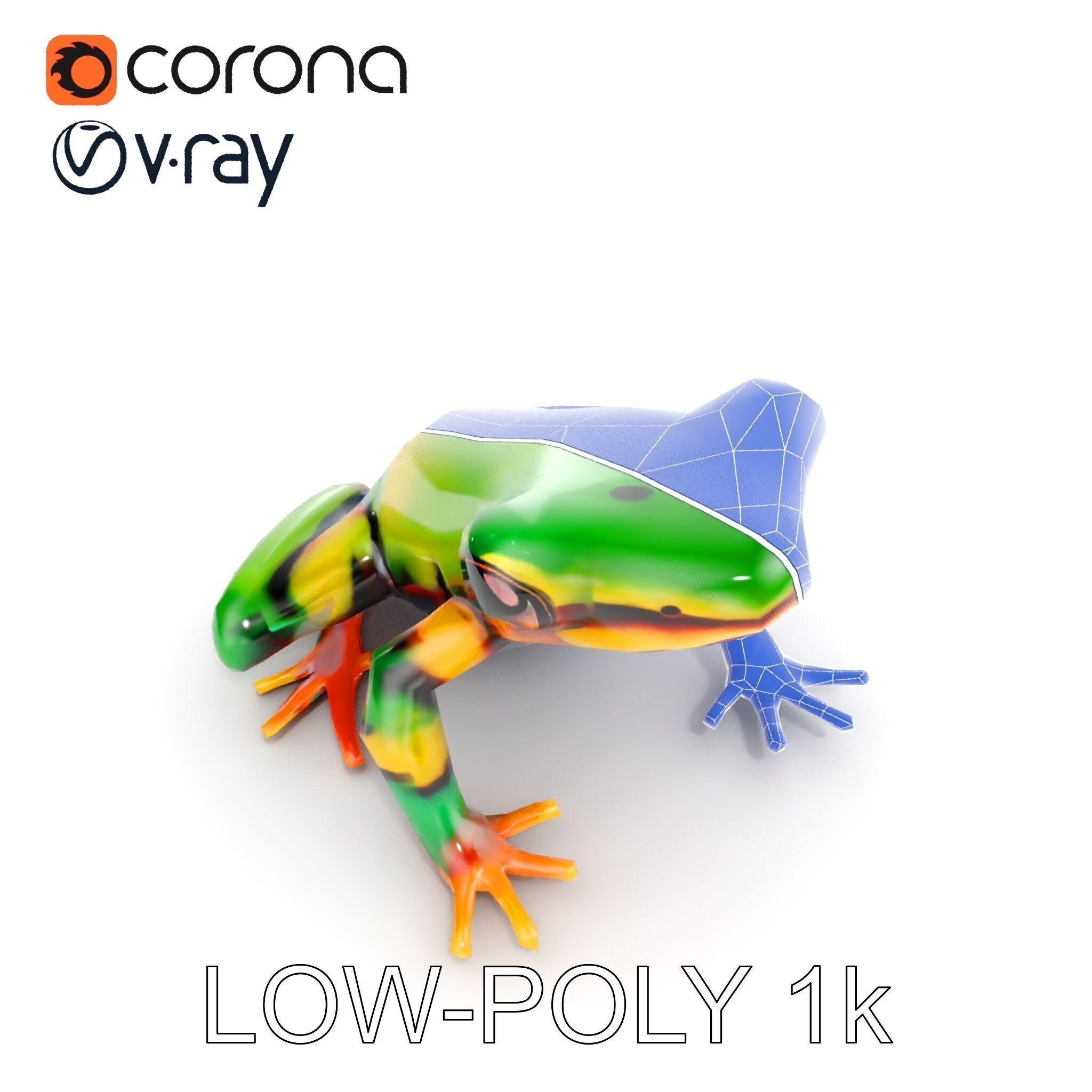 Colorful Frog D Model Pack Low-poly 3D model_15