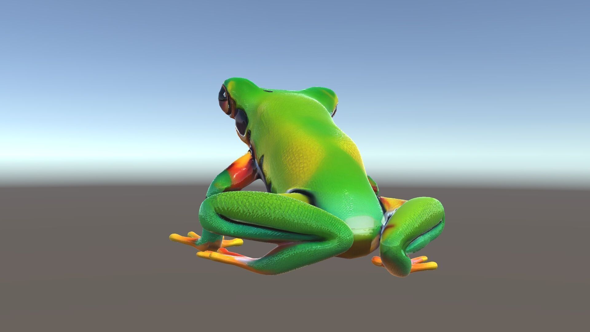 Colorful Frog D Model Pack Low-poly 3D model_19