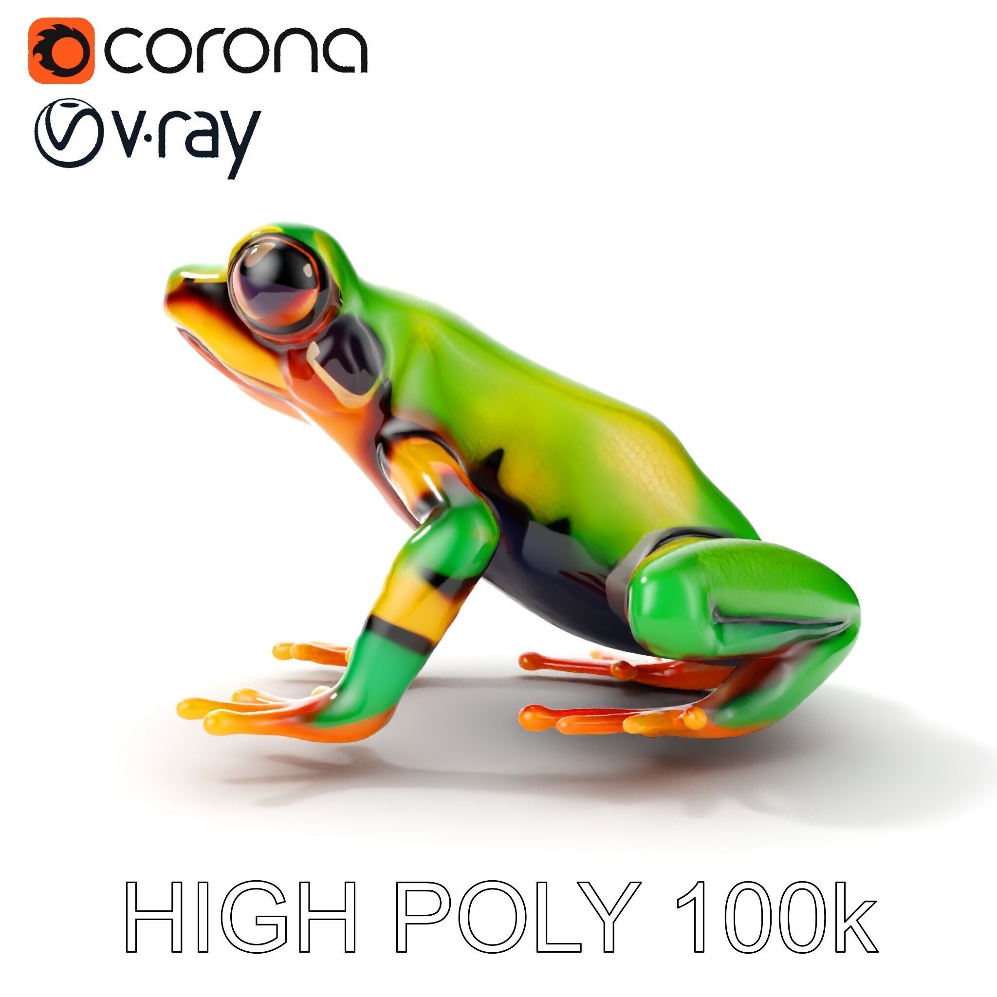 Colorful Frog D Model Pack Low-poly 3D model_8