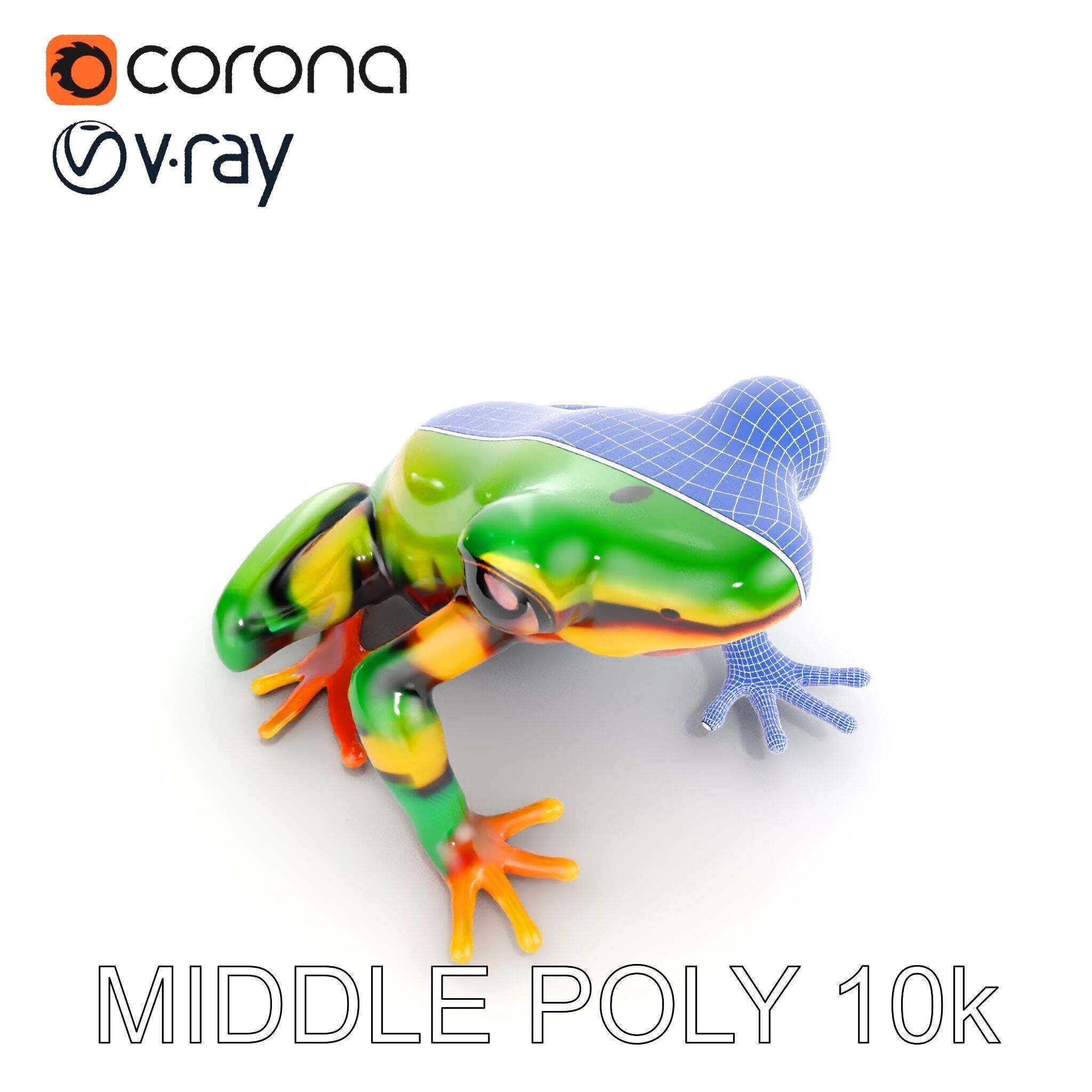 Colorful Frog D Model Pack Low-poly 3D model_29