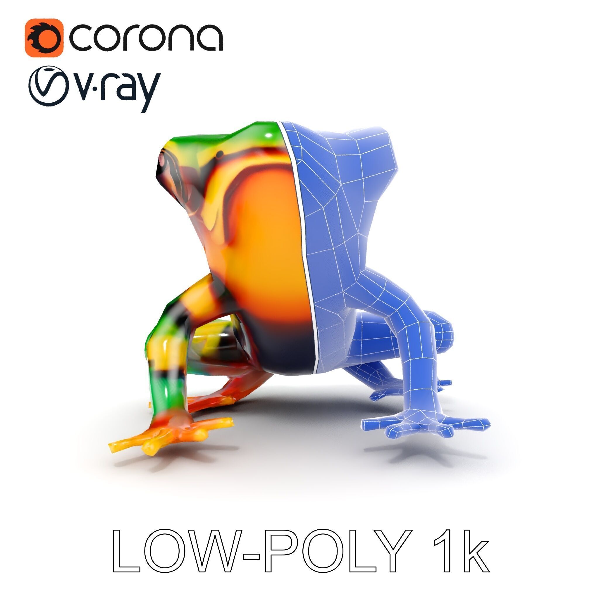 Colorful Frog D Model Pack Low-poly 3D model_30