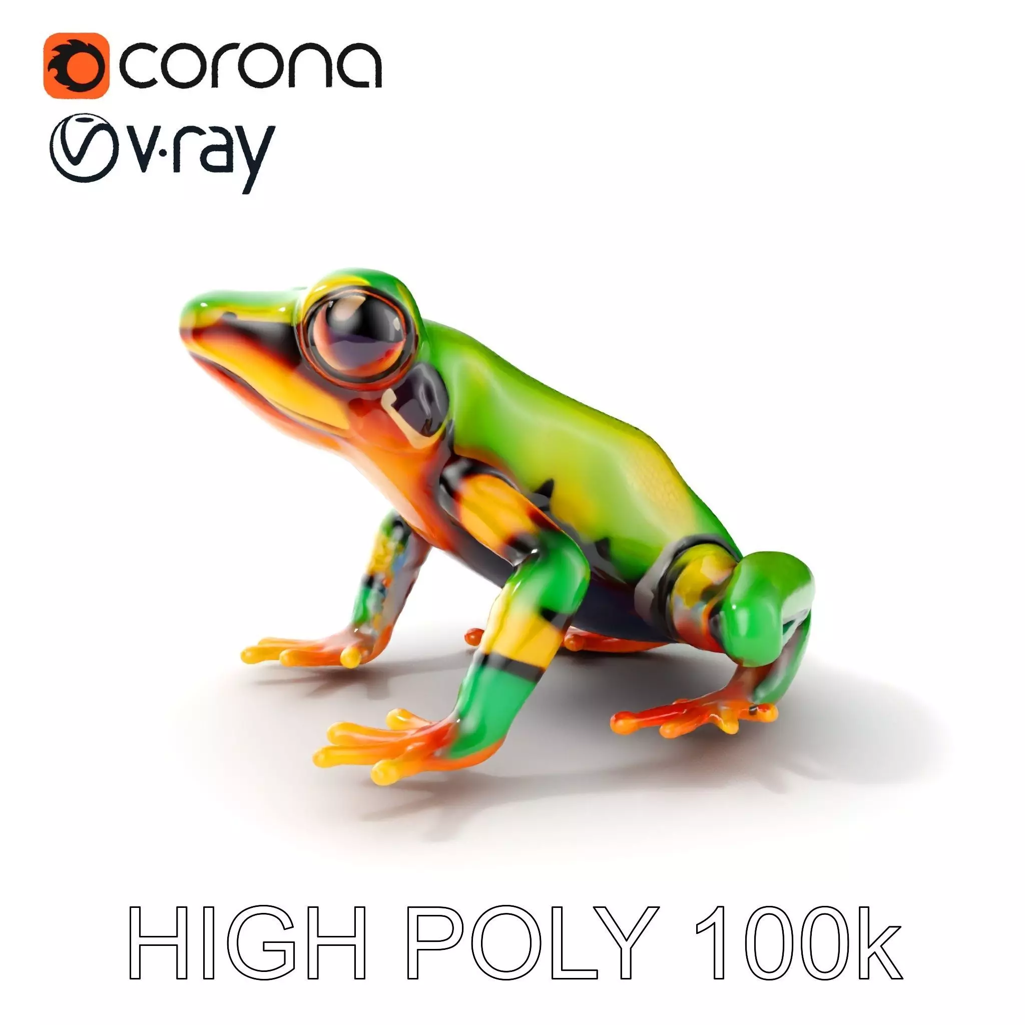 Colorful Frog D Model Pack Low-poly 3D model_0