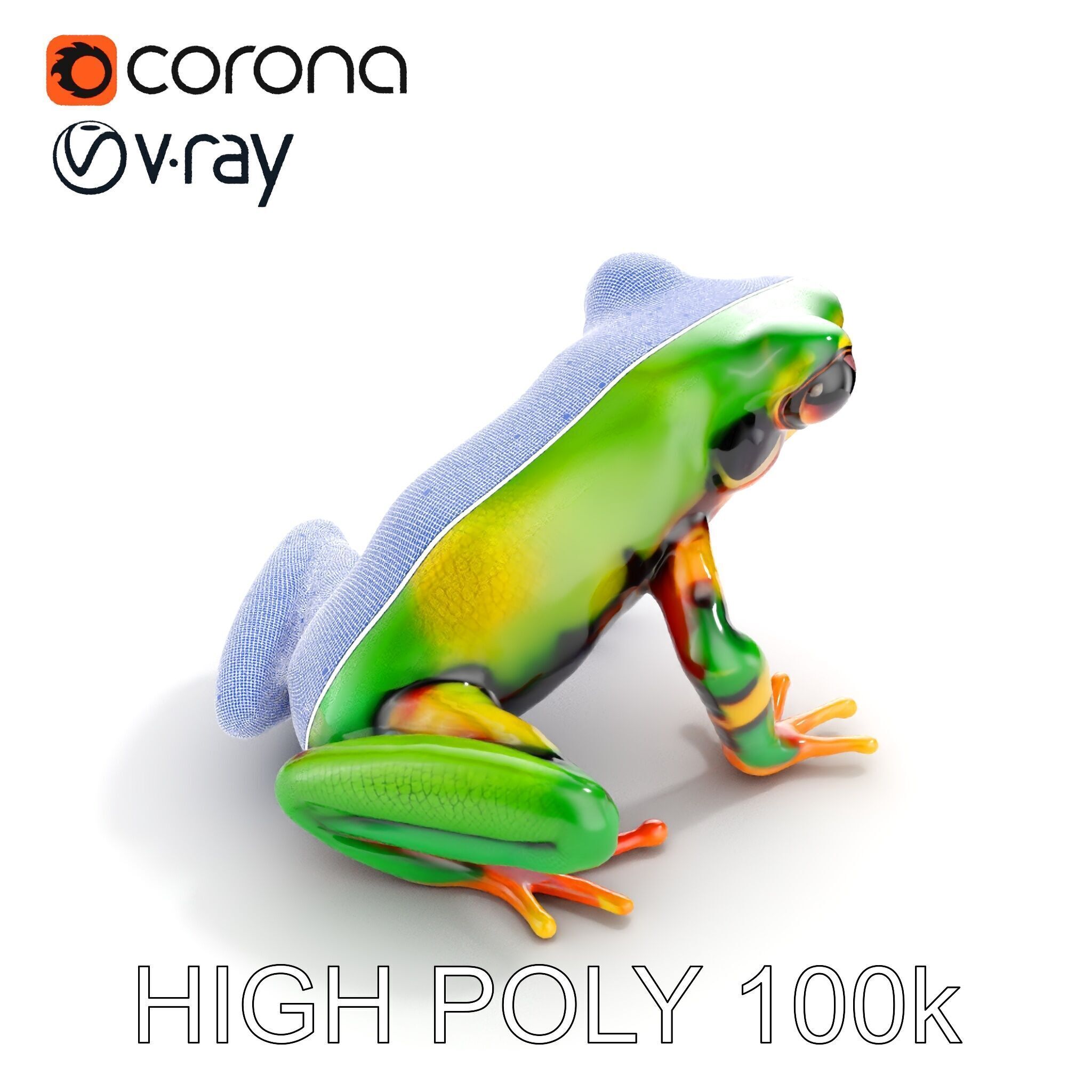 Colorful Frog D Model Pack Low-poly 3D model_34