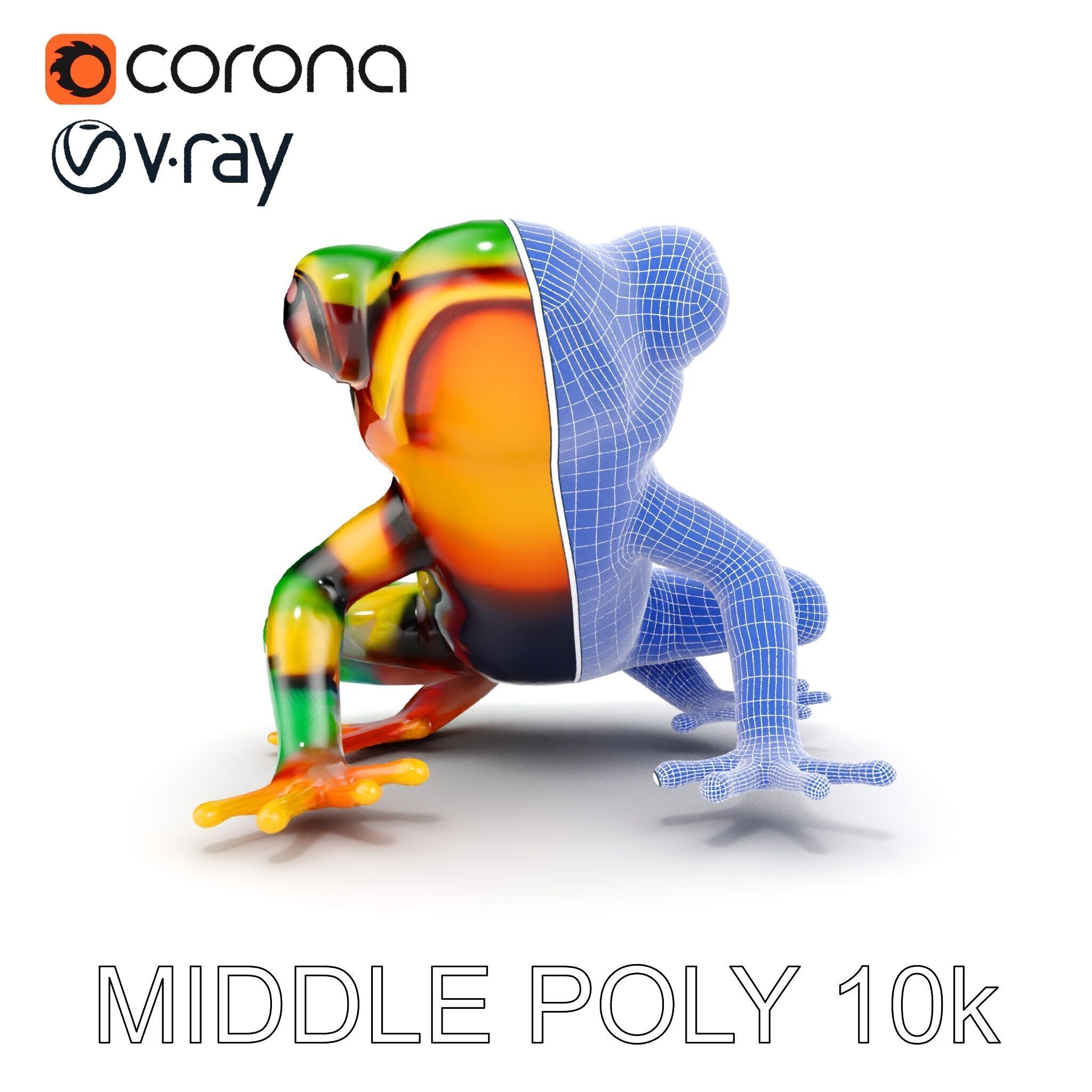 Colorful Frog D Model Pack Low-poly 3D model_21