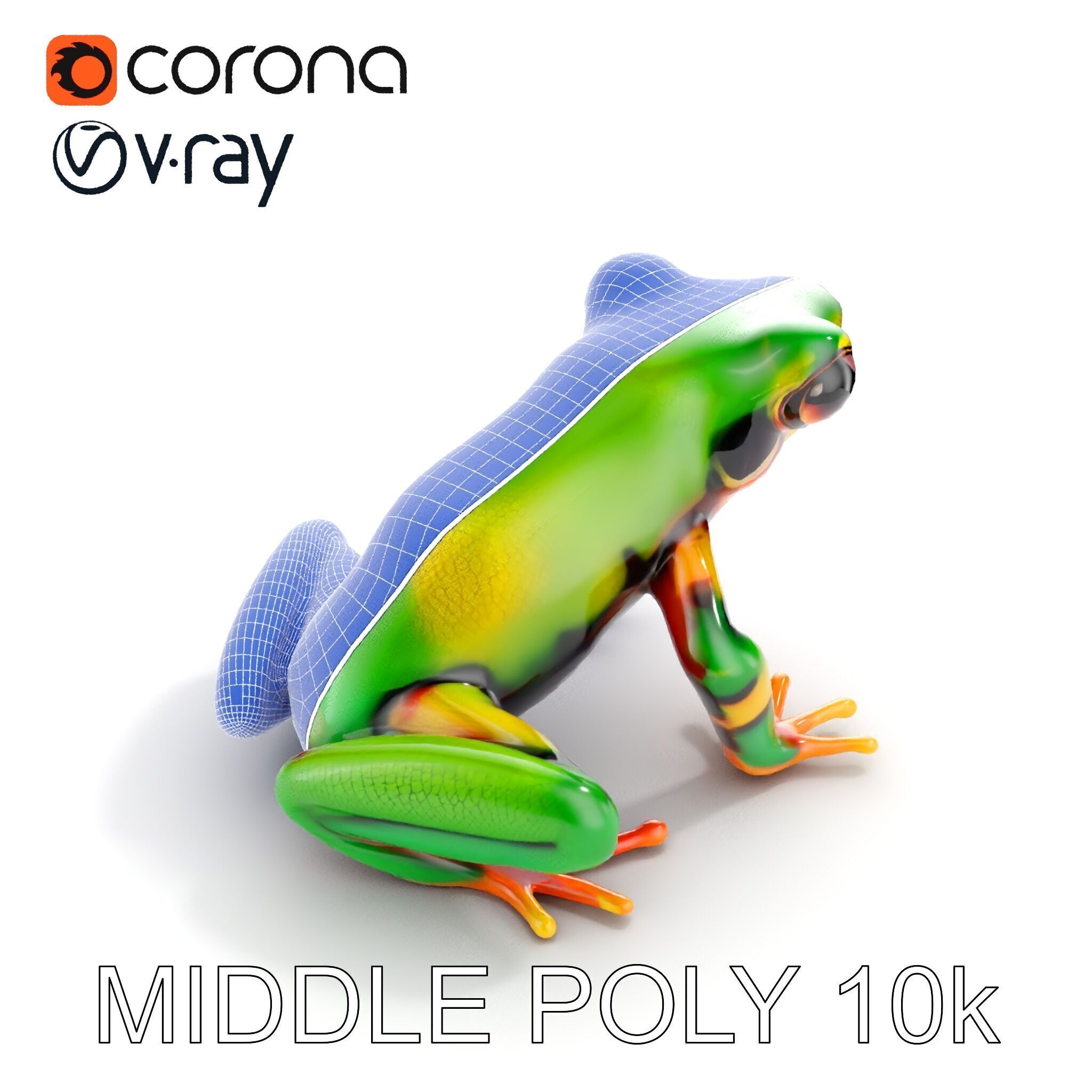 Colorful Frog D Model Pack Low-poly 3D model_12