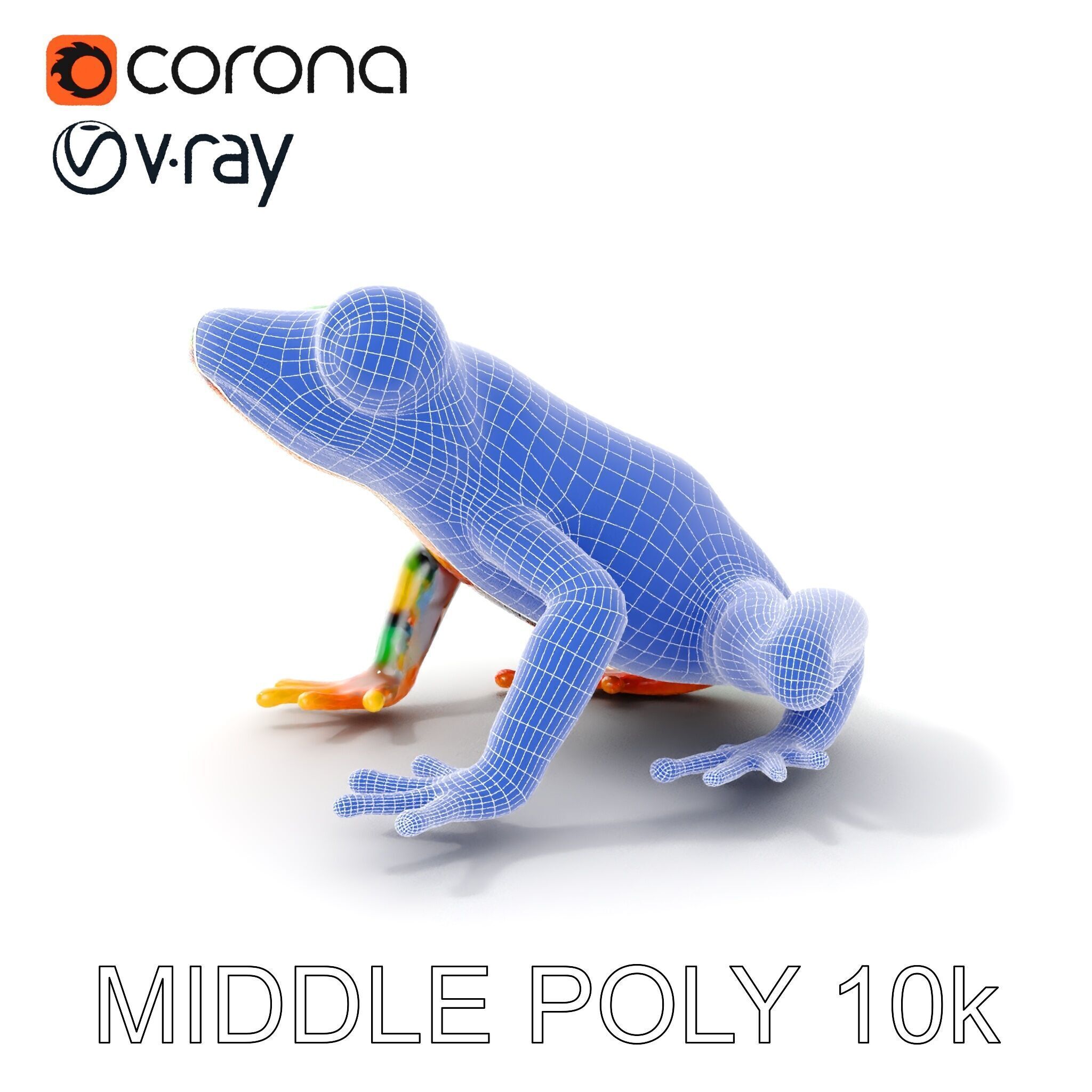 Colorful Frog D Model Pack Low-poly 3D model_23