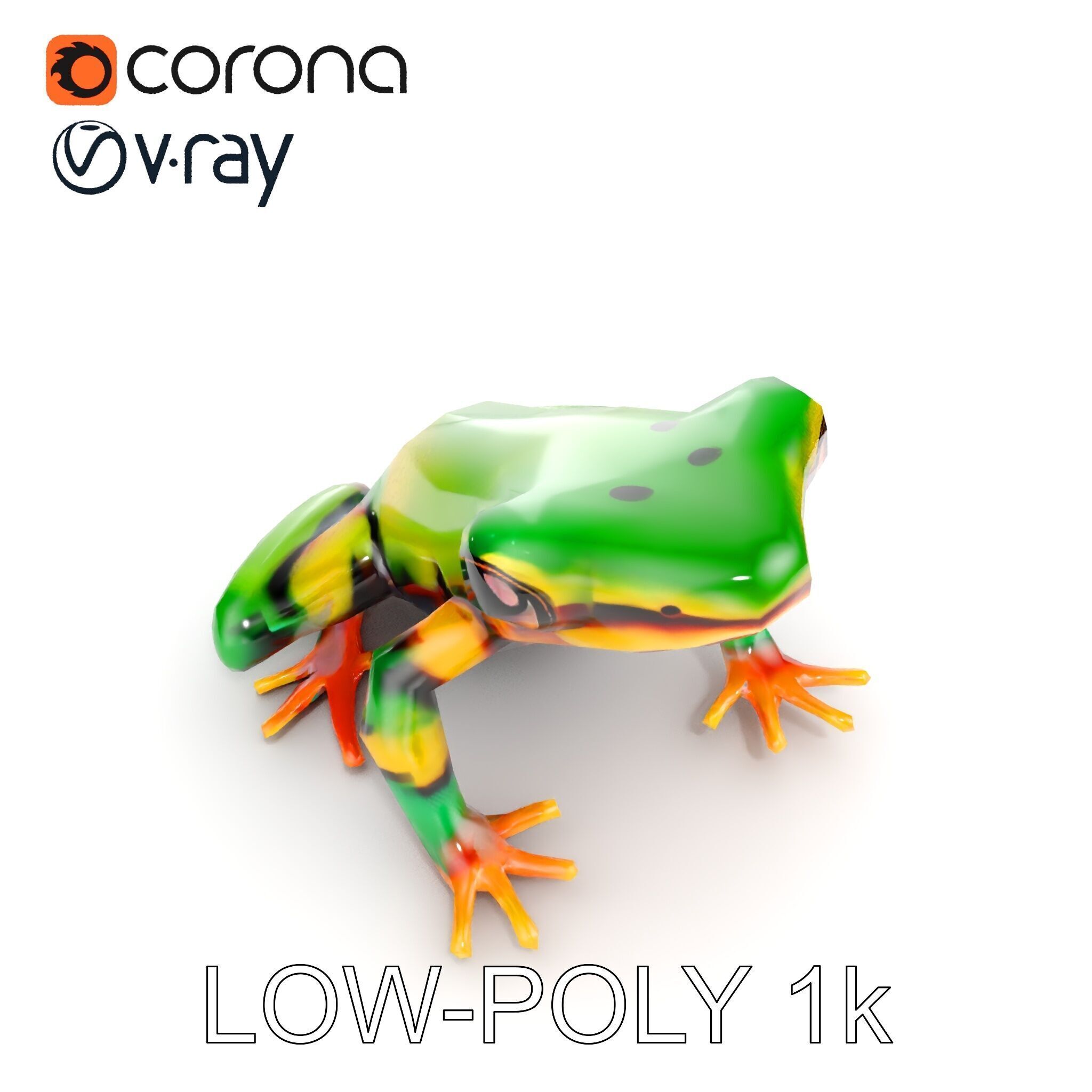 Colorful Frog D Model Pack Low-poly 3D model_10