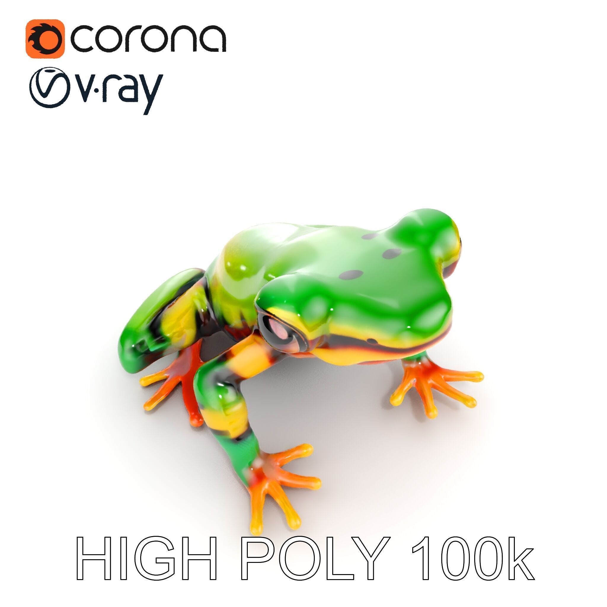 Colorful Frog D Model Pack Low-poly 3D model_28