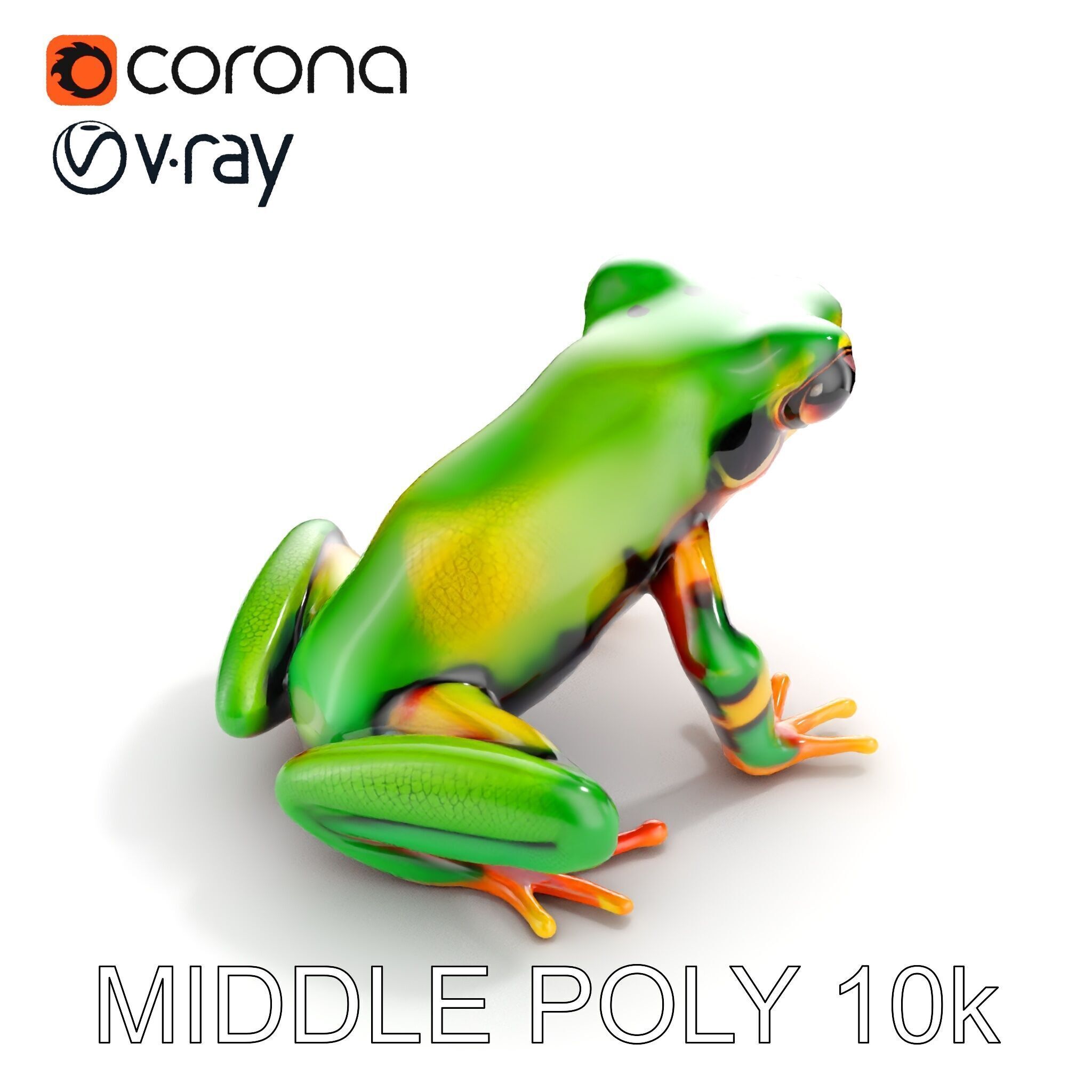 Colorful Frog D Model Pack Low-poly 3D model_6