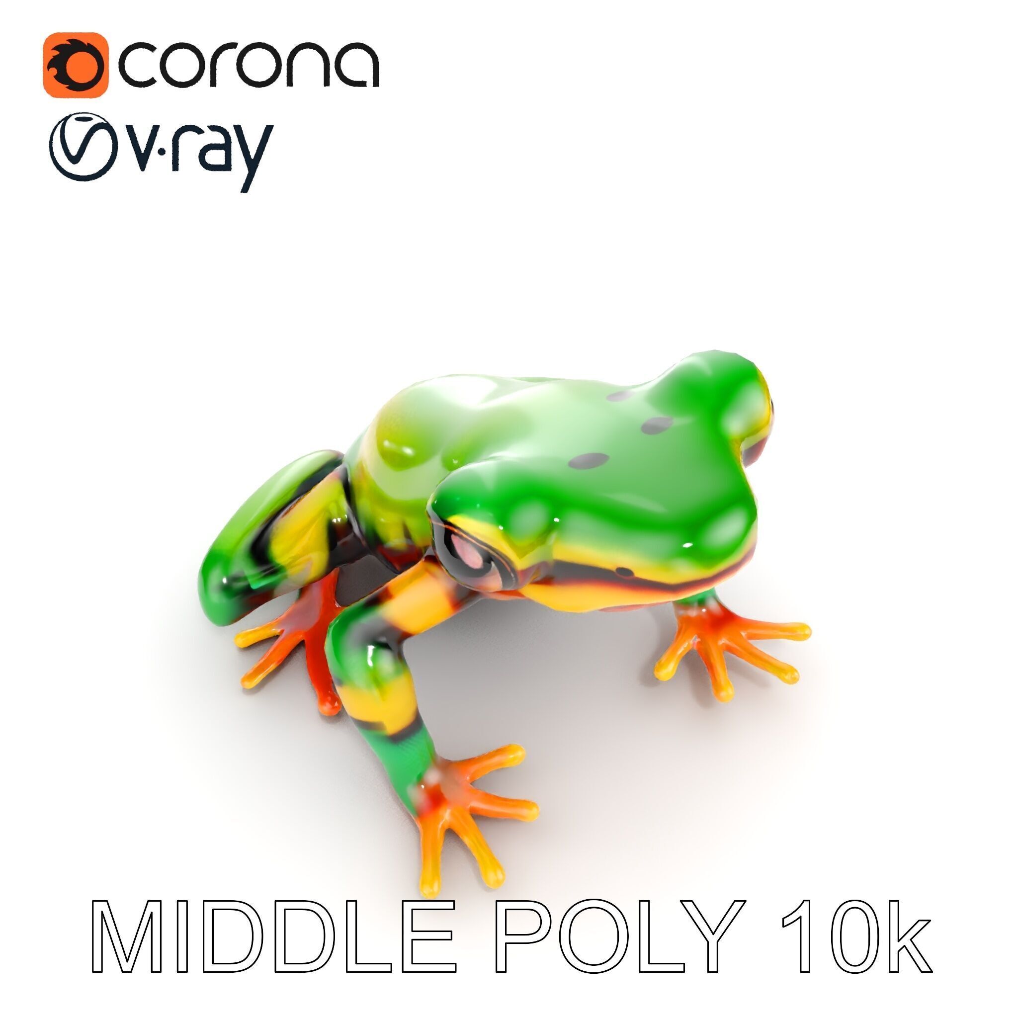 Colorful Frog D Model Pack Low-poly 3D model_26