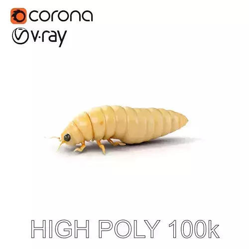Realistic Insect Larvae Model Pack
