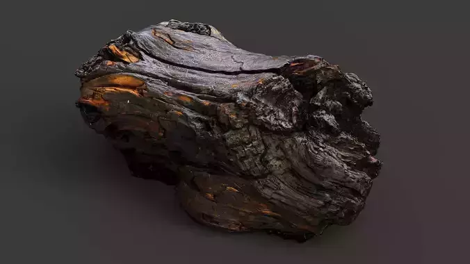 tree trunk broken wood debris PBR photogrammetry