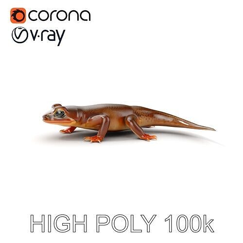 Realistic Gecko Model Pack Low-poly 3D model