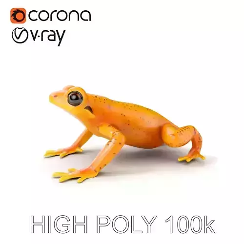 Vibrant Orange Frog Model Pack