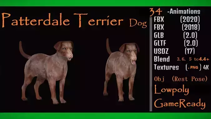 Patterdale Terrier Dog Low-poly 3D model