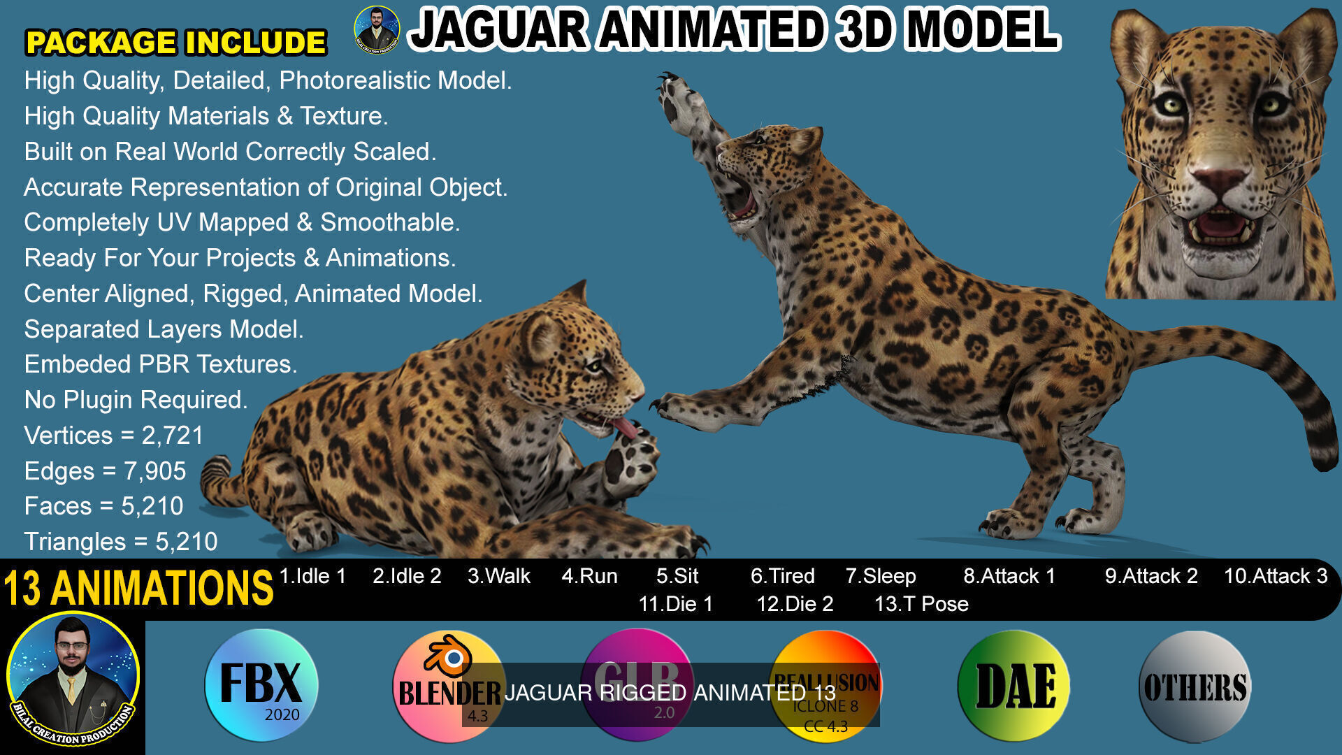 LIONS FAMILY COLLECTIONS _8