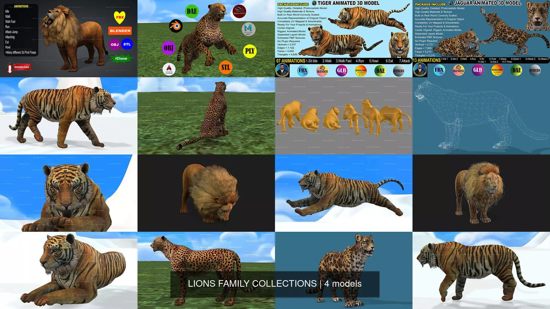 LIONS FAMILY COLLECTIONS _0