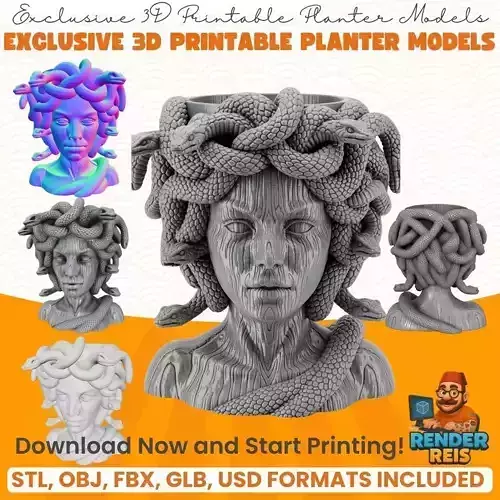 Medusa Head Planter Mythological and Artistic 3D Print Object 3D model