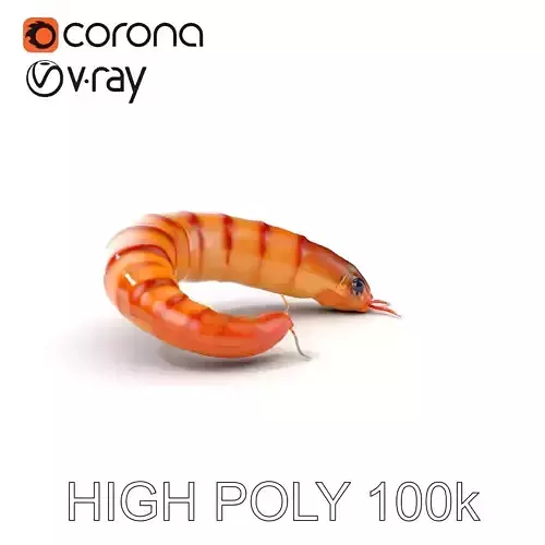 Realistic Mealworm Model Pack for Production and Game Environ... Low-poly 3D model