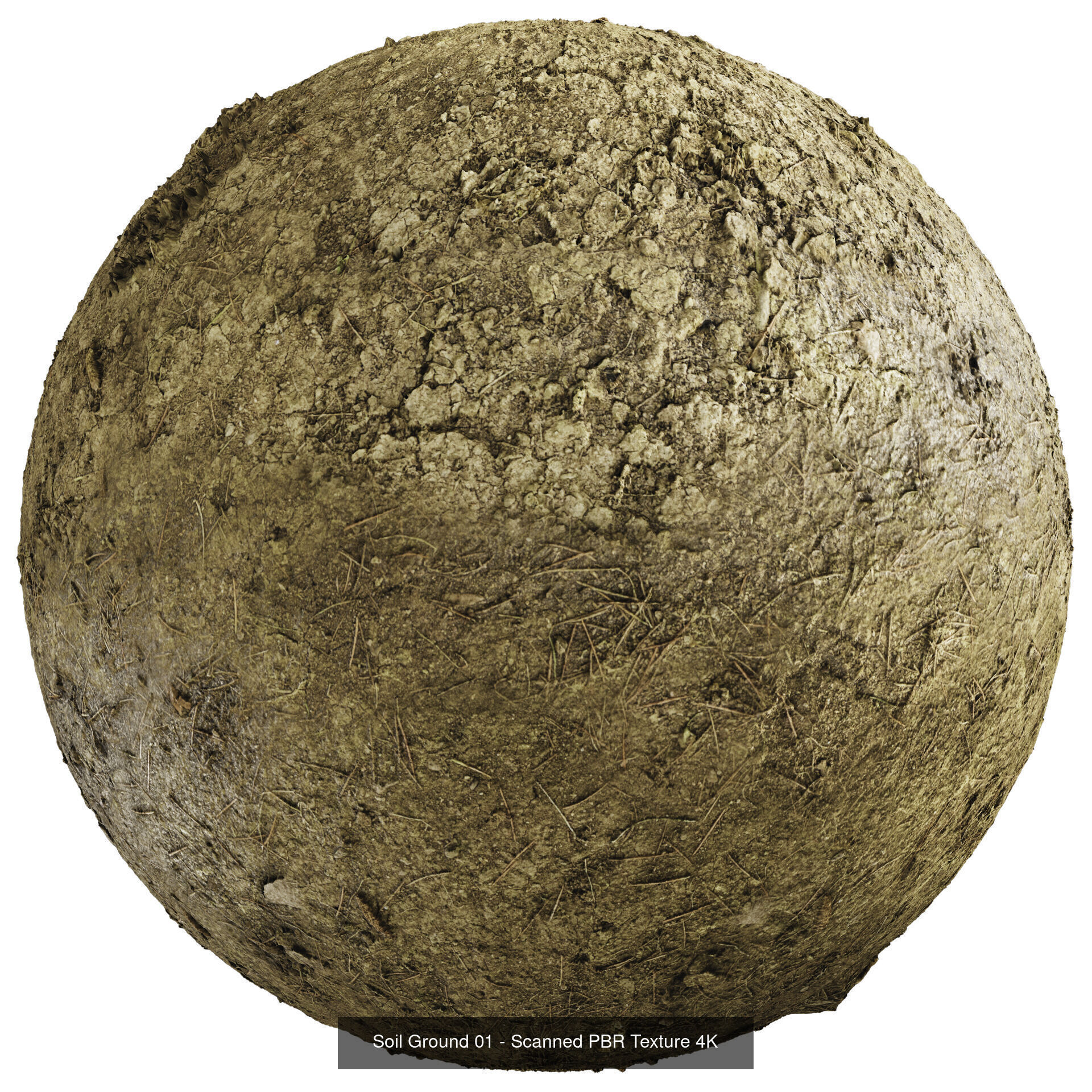 4K PBR Scanned Textures 01 Texture_8