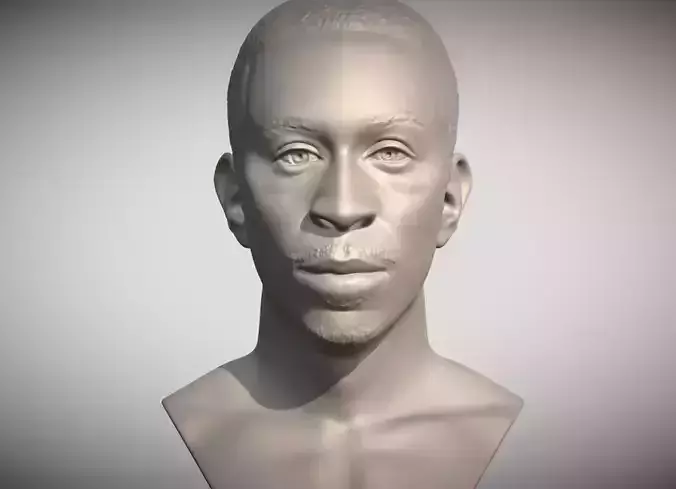 Ludacris bust 3D print model