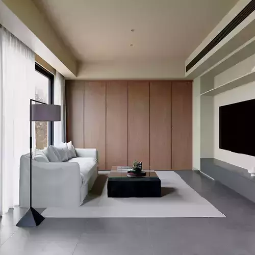 Modern Living Room
