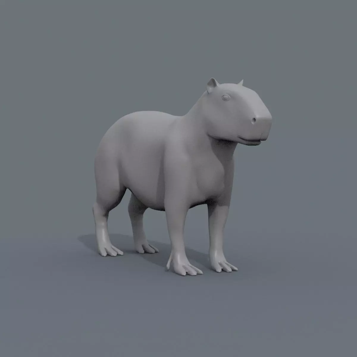 Capybara Capivara Shape 3D model_0