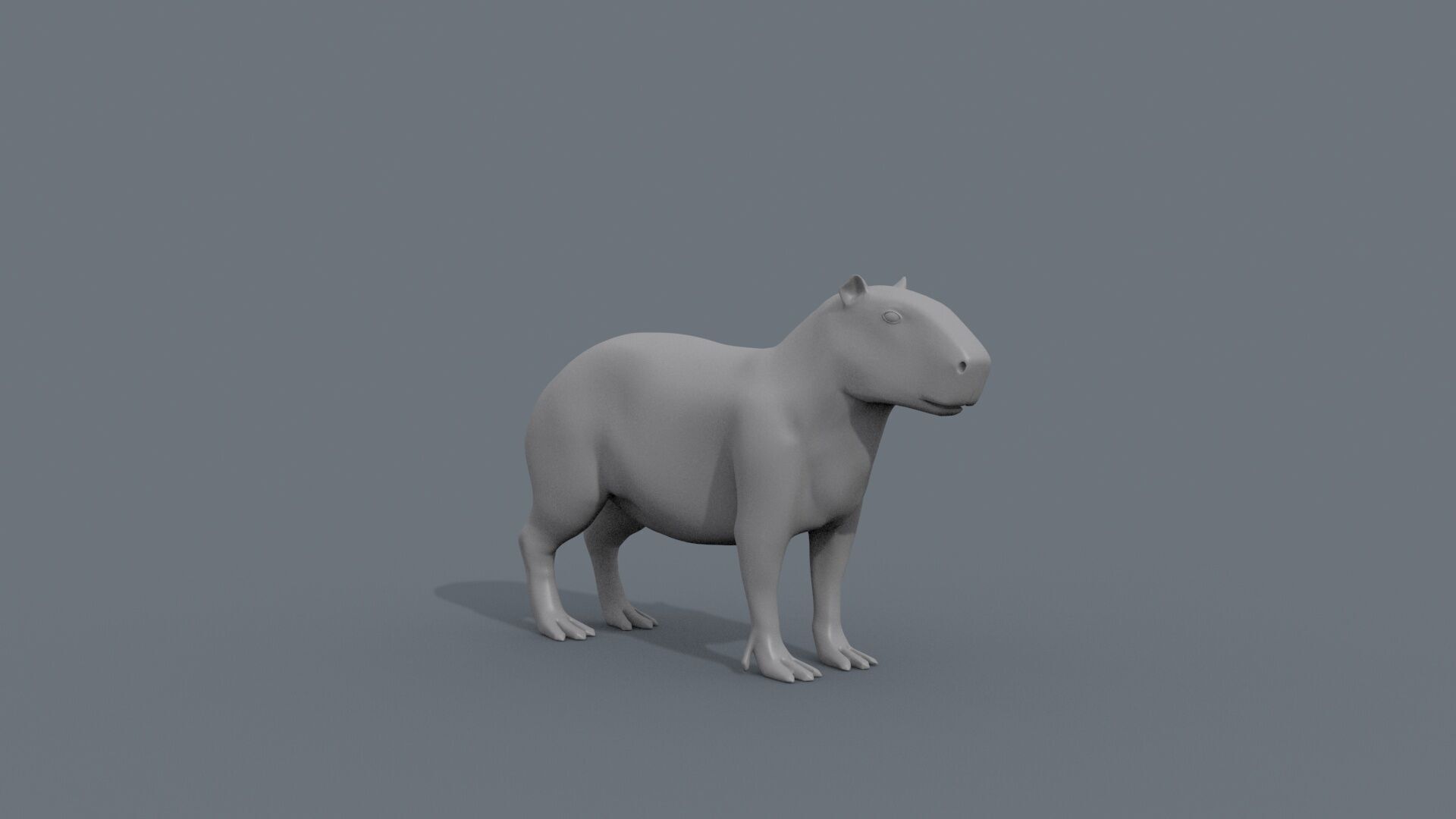 Capybara Capivara Shape 3D model_2