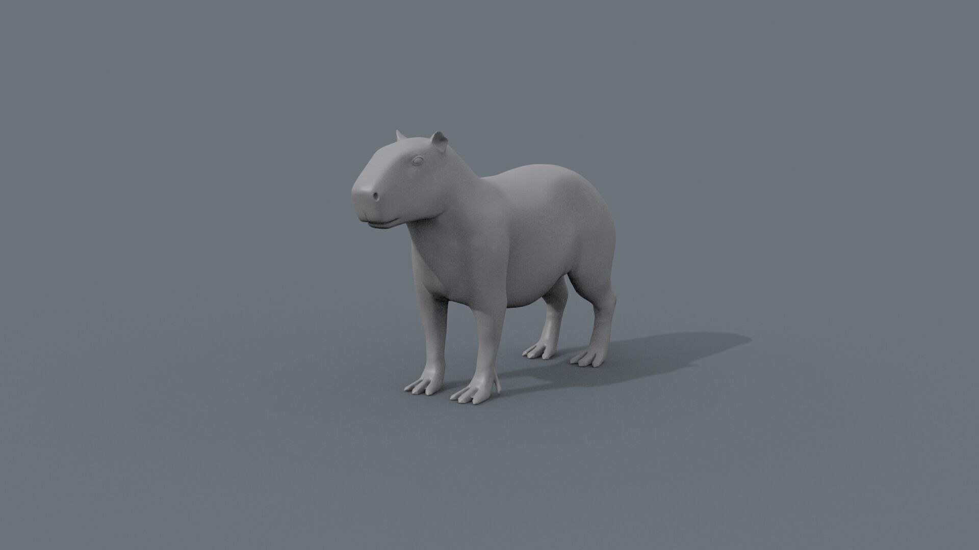 Capybara Capivara Shape 3D model_6