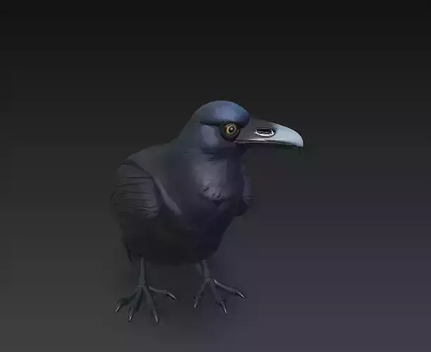 Crow Black Realistic 3D Model Basic - Low Poly Realistic