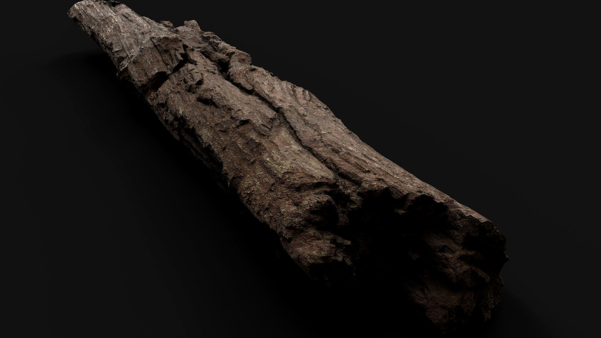 tree trunk broken dry wood debris PBR photogrammetry Low-poly 3D model_5