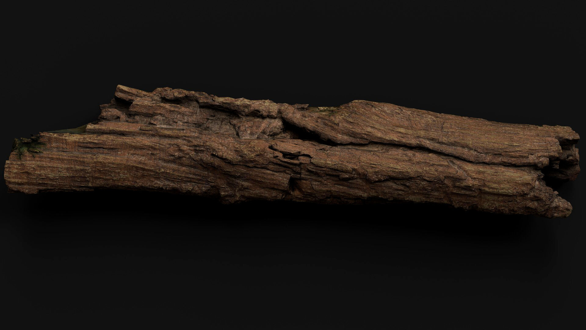 tree trunk broken dry wood debris PBR photogrammetry Low-poly 3D model_4