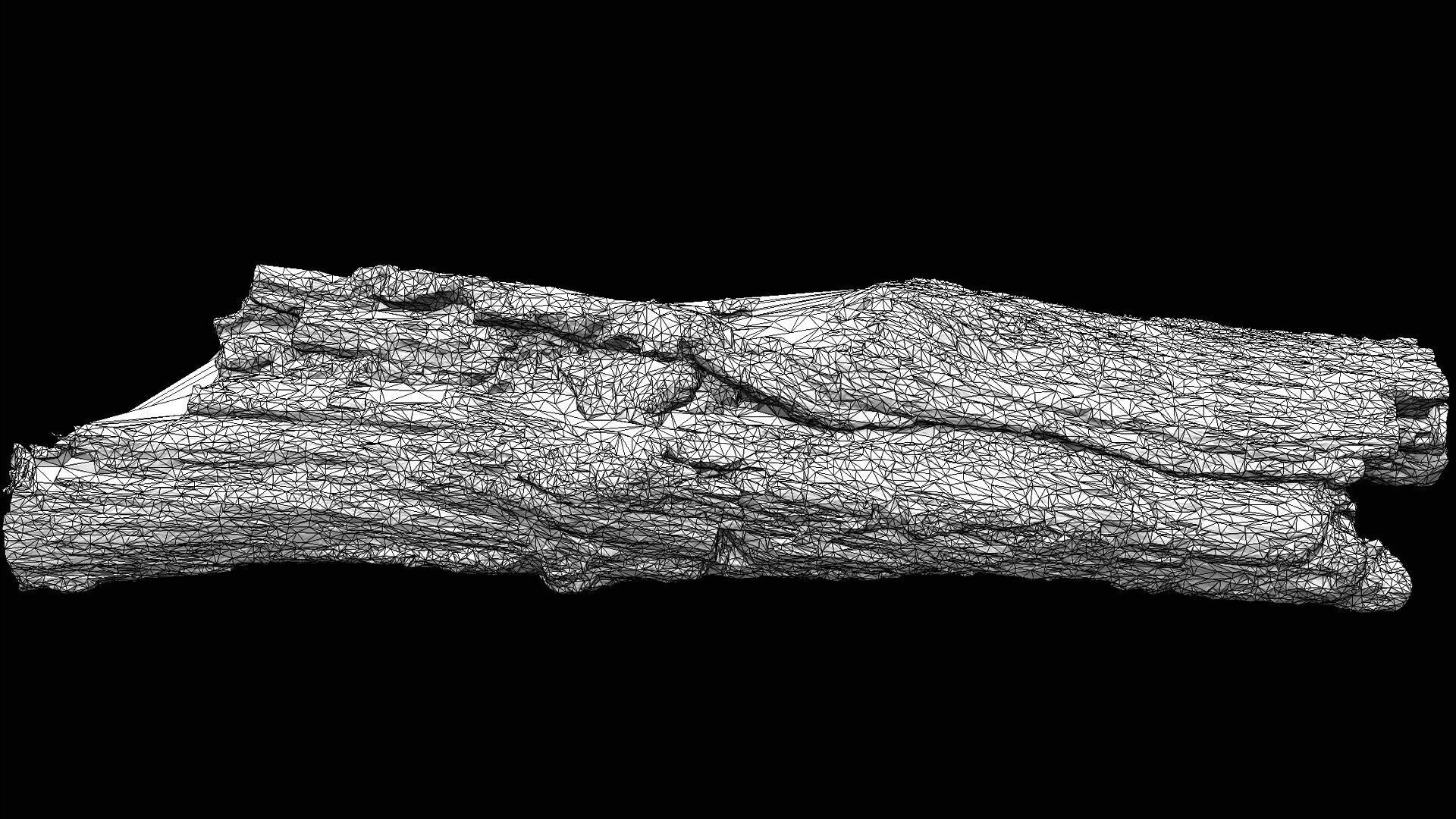 tree trunk broken dry wood debris PBR photogrammetry Low-poly 3D model_7