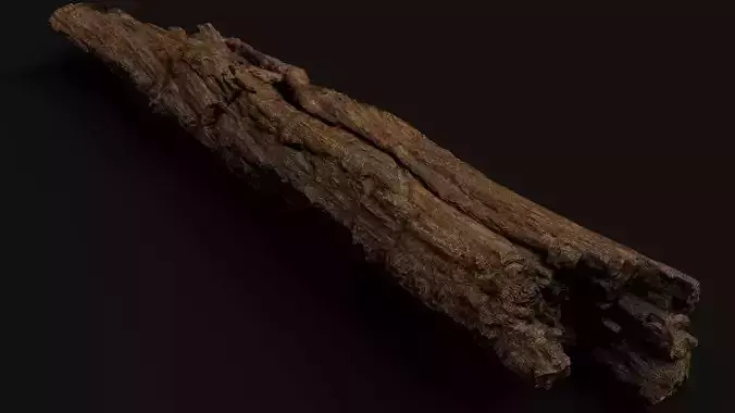 tree trunk broken dry wood debris PBR photogrammetry